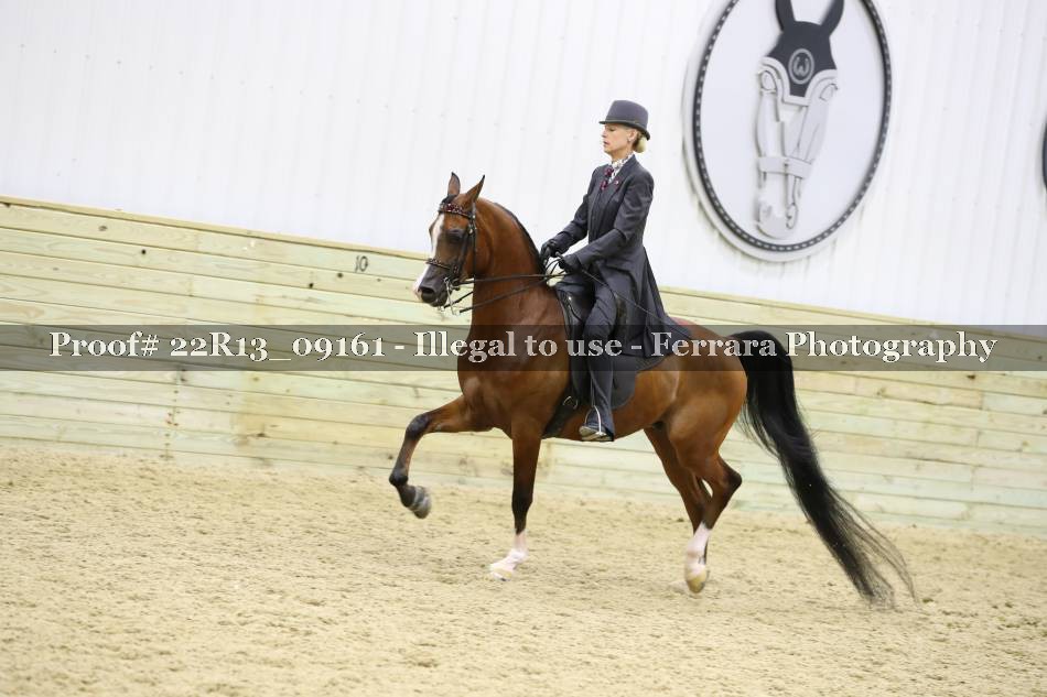 Proof Number 22R13_09161