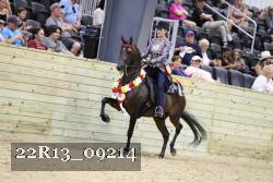 22R13_09214 thumbnail