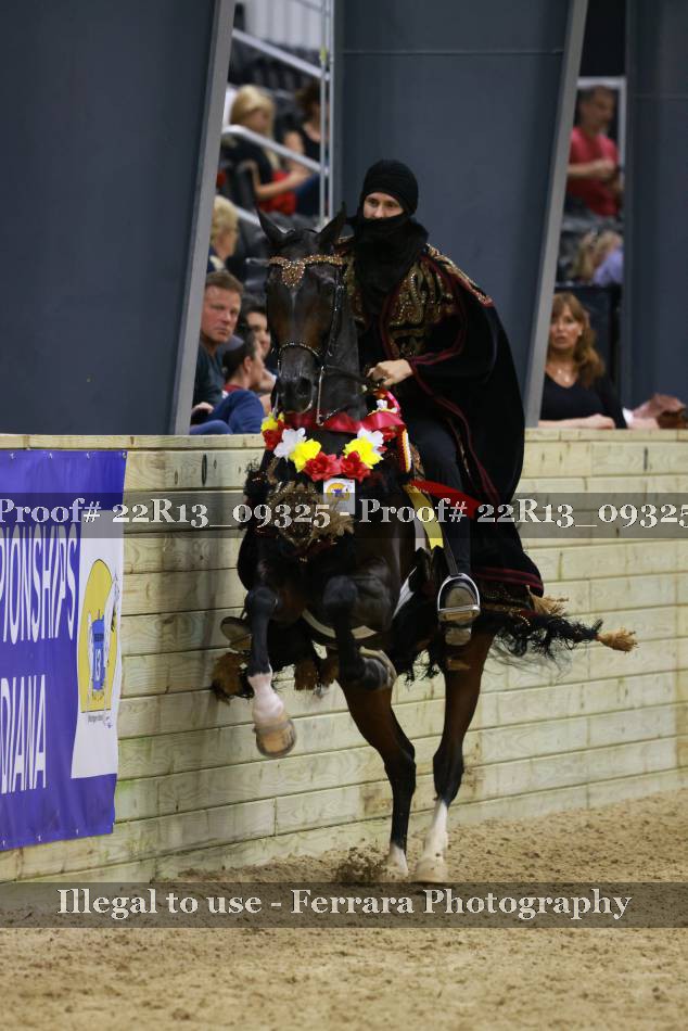 Proof Number 22R13_09325