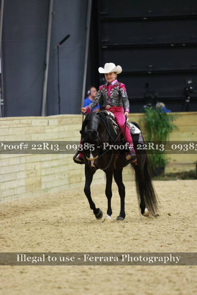 Proof Number 22R13_09385