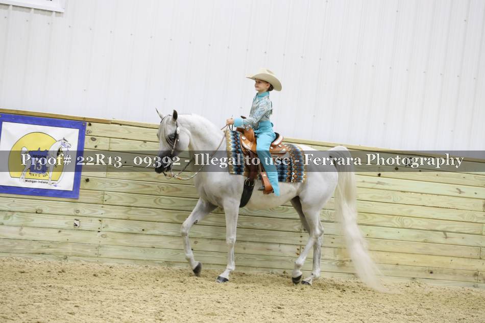 Proof Number 22R13_09392