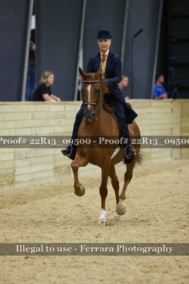 Proof Number 22R13_09500