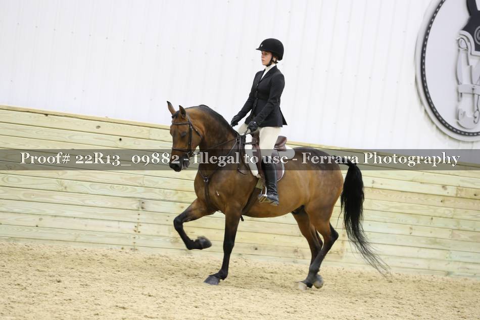 Proof Number 22R13_09882