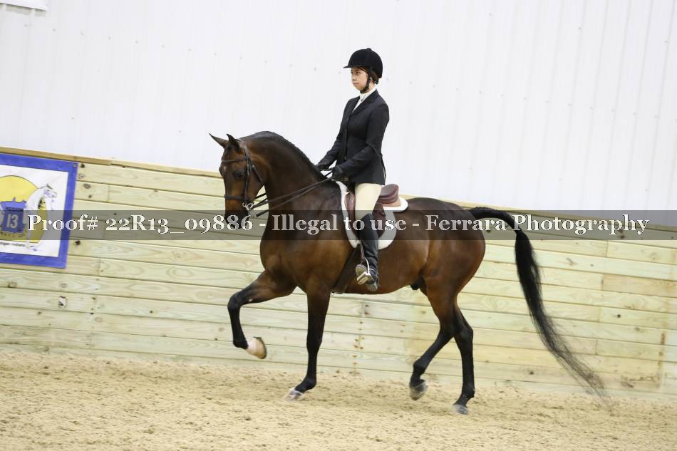 Proof Number 22R13_09886