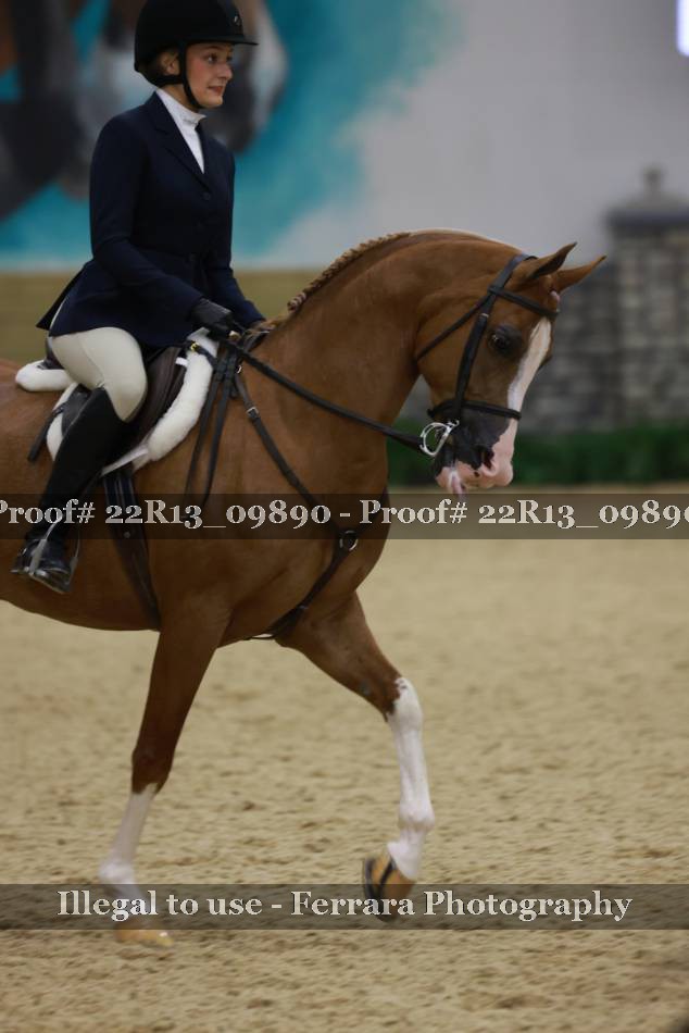 Proof Number 22R13_09890