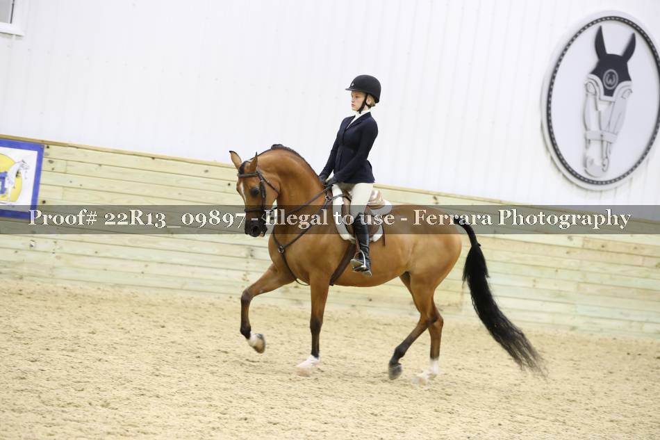Proof Number 22R13_09897