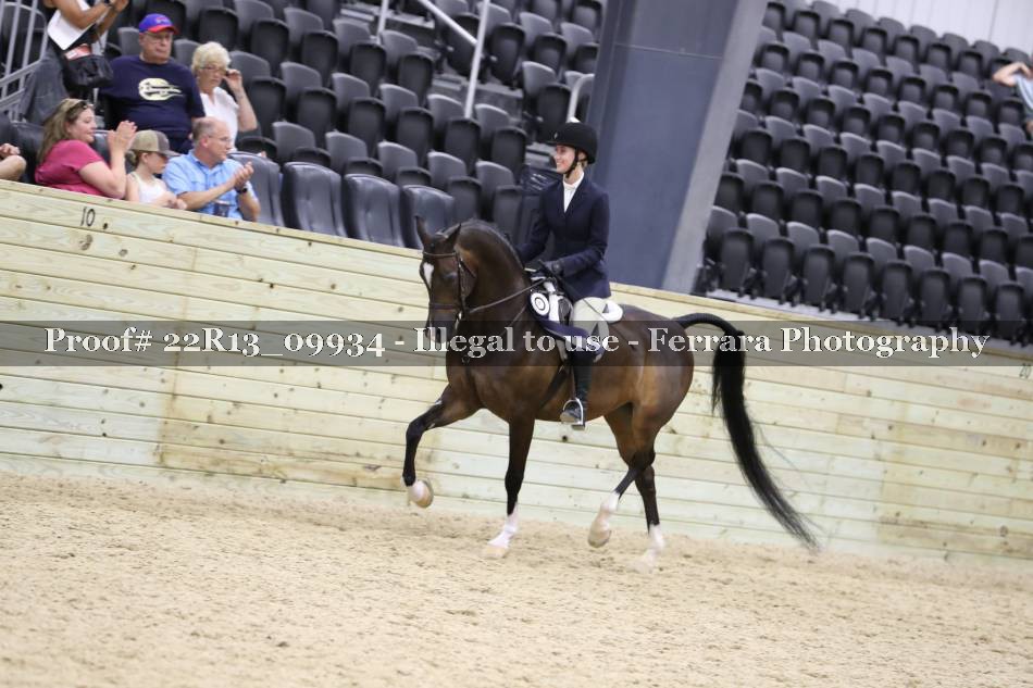 Proof Number 22R13_09934