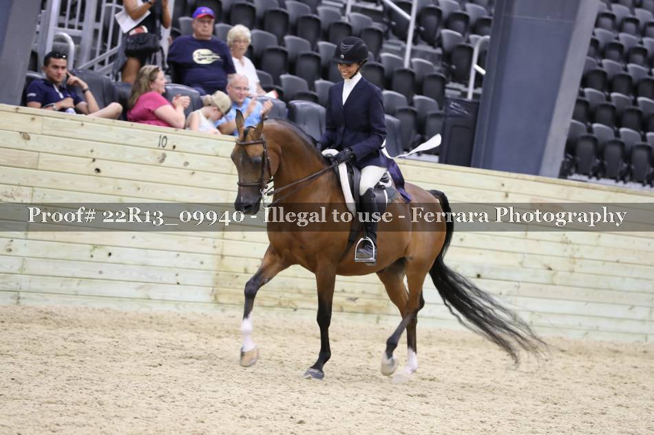 Proof Number 22R13_09940
