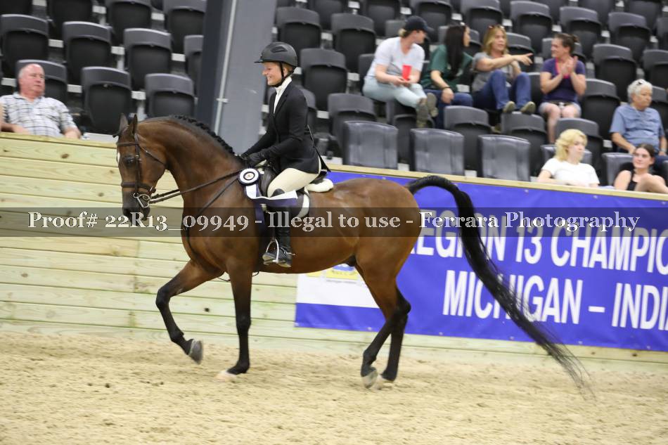 Proof Number 22R13_09949