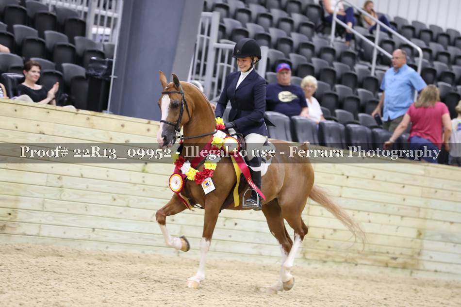 Proof Number 22R13_09952