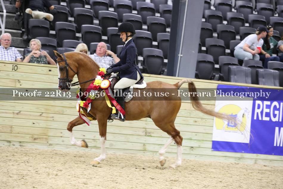 Proof Number 22R13_09956