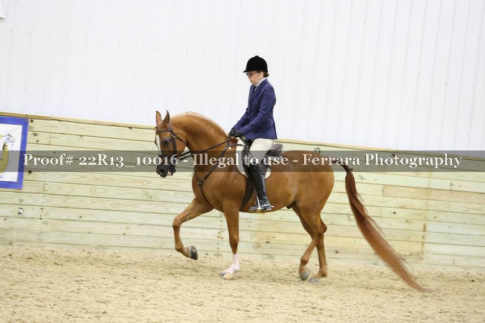 Proof Number 22R13_10016
