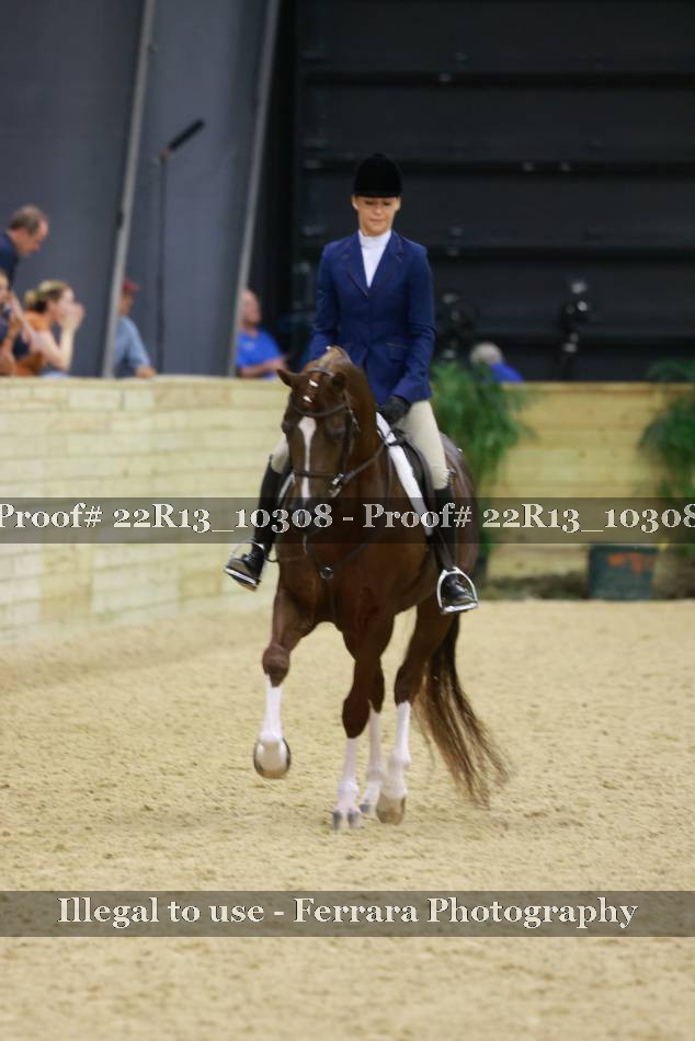 Proof Number 22R13_10308