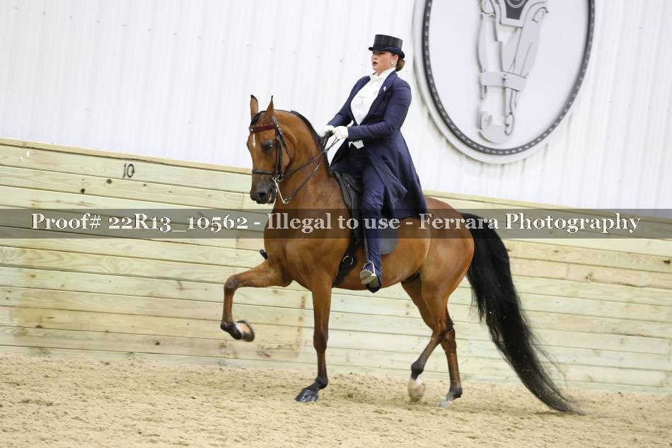 Proof Number 22R13_10562