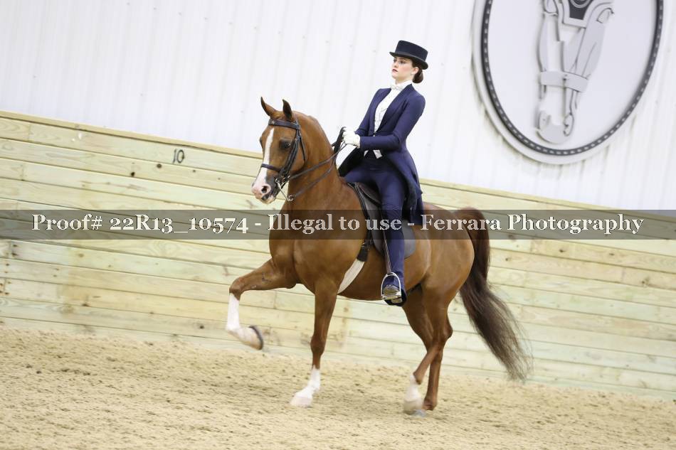Proof Number 22R13_10574