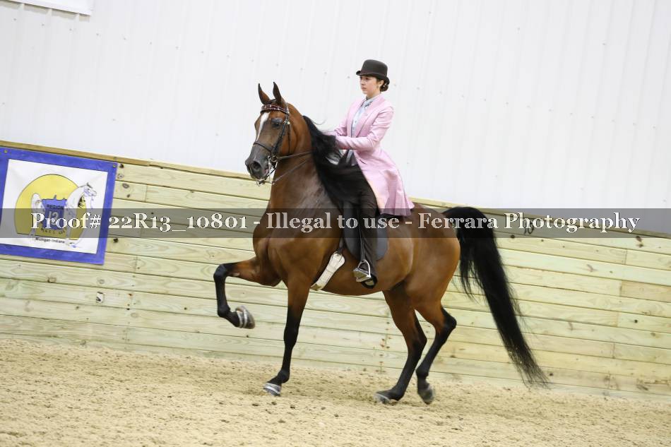Proof Number 22R13_10801