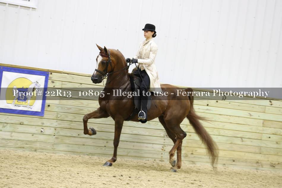 Proof Number 22R13_10805