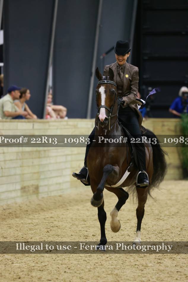 Proof Number 22R13_10983