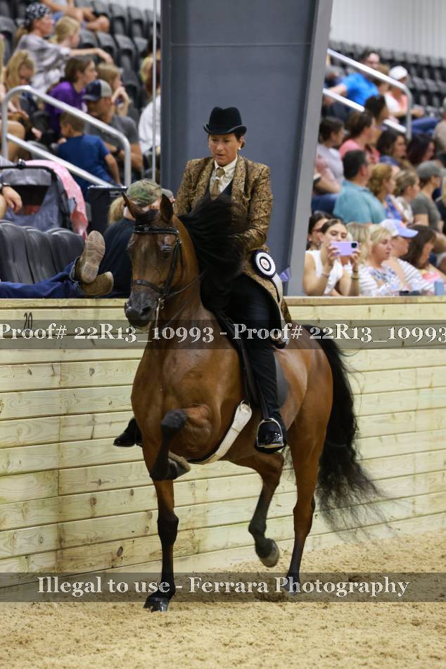 Proof Number 22R13_10993