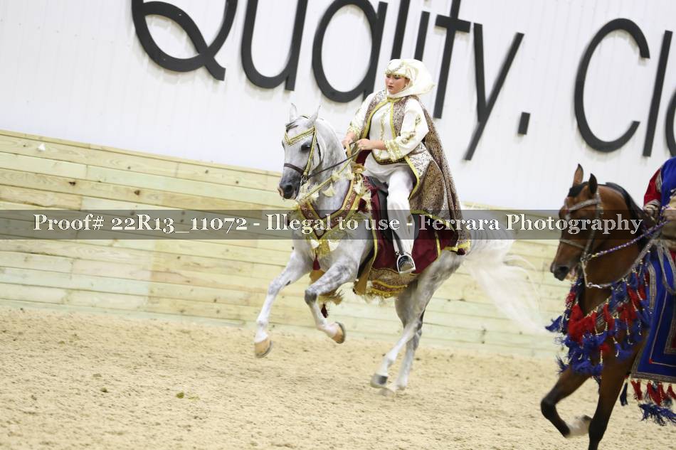 Proof Number 22R13_11072