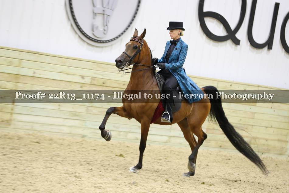 Proof Number 22R13_11174