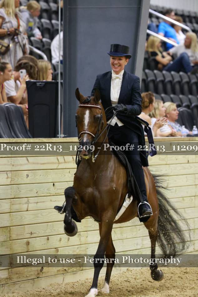 Proof Number 22R13_11209