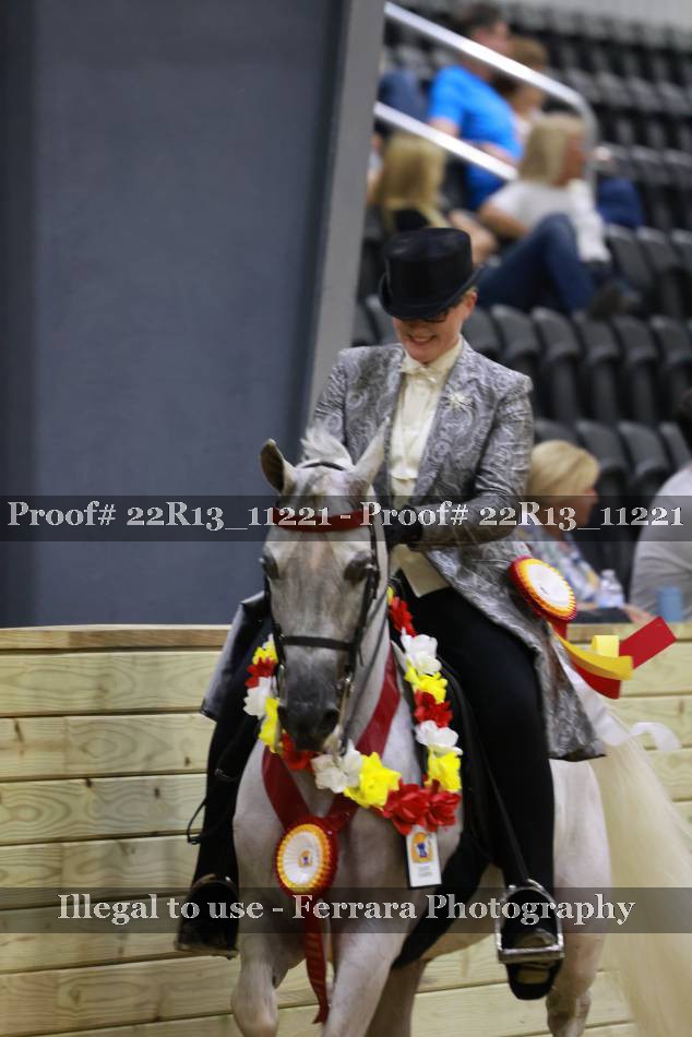 Proof Number 22R13_11221