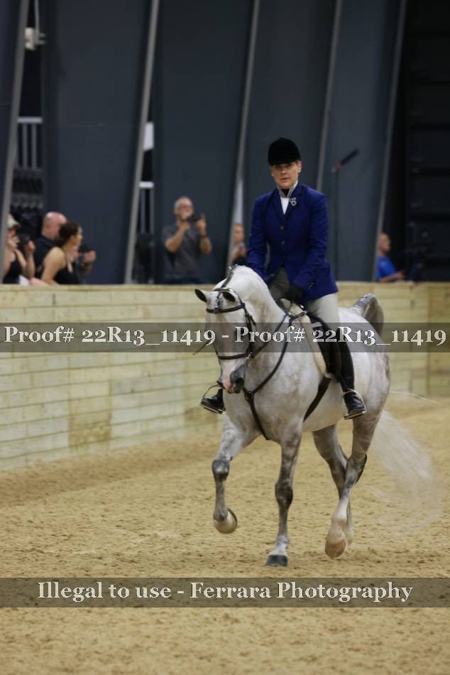 Proof Number 22R13_11419