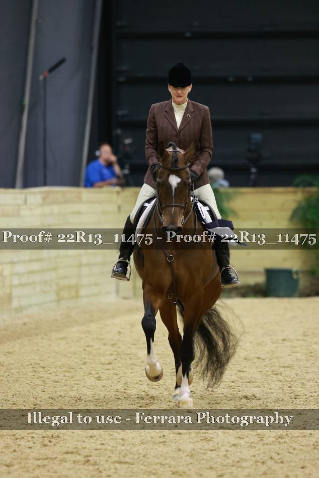 Proof Number 22R13_11475