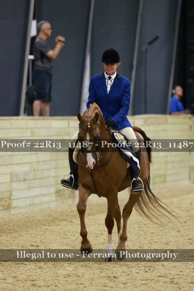 Proof Number 22R13_11487