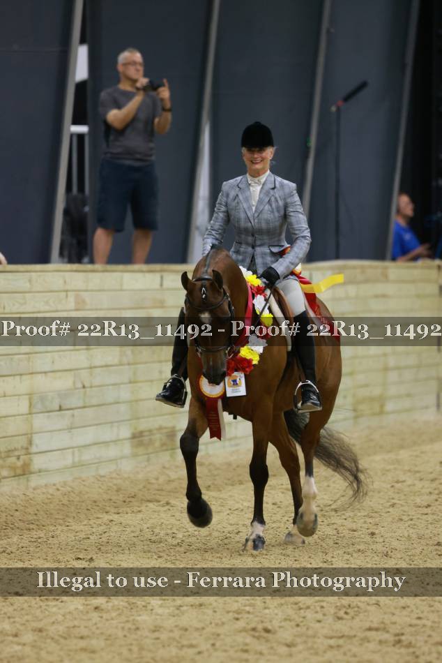 Proof Number 22R13_11492