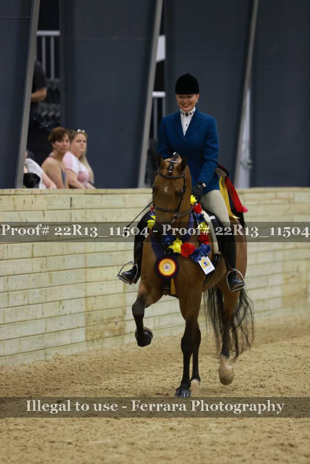 Proof Number 22R13_11504