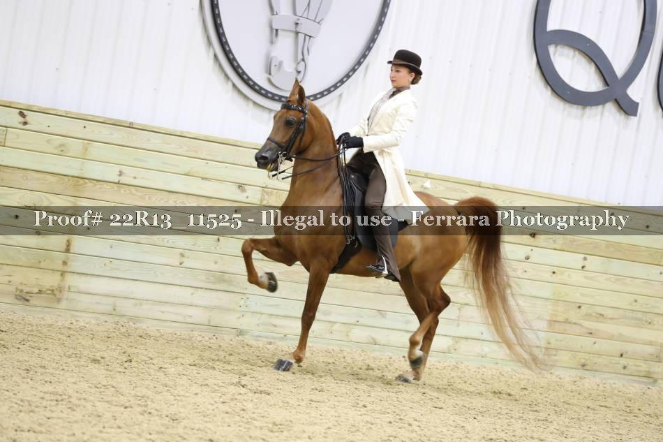 Proof Number 22R13_11525