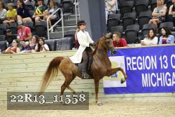 22R13_11558 thumbnail