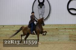 22R13_11559 thumbnail