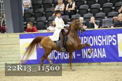 22R13_11560 thumbnail