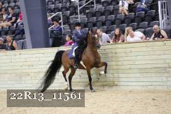 22R13_11561 thumbnail