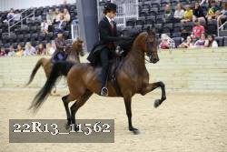 22R13_11562 thumbnail