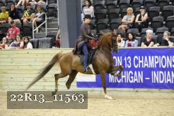 22R13_11563 thumbnail
