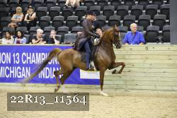 22R13_11564 thumbnail