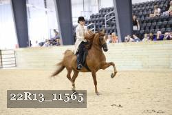 22R13_11565 thumbnail