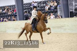 22R13_11566 thumbnail