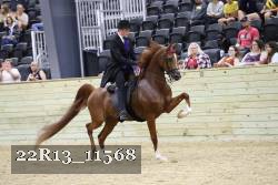 22R13_11568 thumbnail
