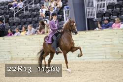 22R13_11569 thumbnail