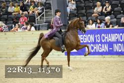 22R13_11570 thumbnail
