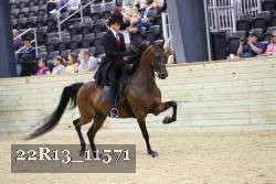 22R13_11571 thumbnail