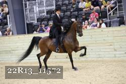 22R13_11572 thumbnail