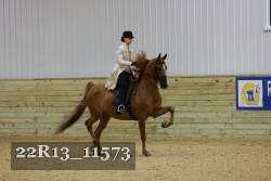 22R13_11573 thumbnail