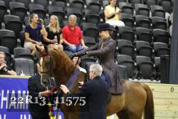 22R13_11575 thumbnail