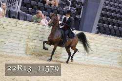 22R13_11579 thumbnail